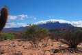 In der Quebrada de las Conchas (von Cafayate nach Salta)