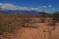 In der Quebrada de las Conchas (von Cafayate nach Salta)