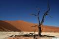 Deadvlei