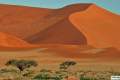 Sossusvlei